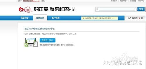 在家掘金 零基礎(chǔ)小買(mǎi)賣(mài)指南與電商入門(mén)解惑